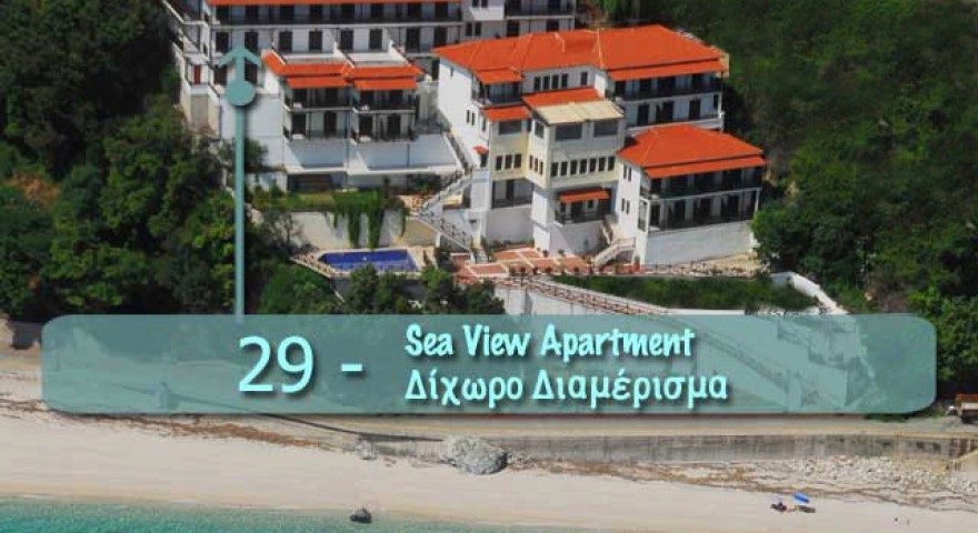 Apartment  29 room view 